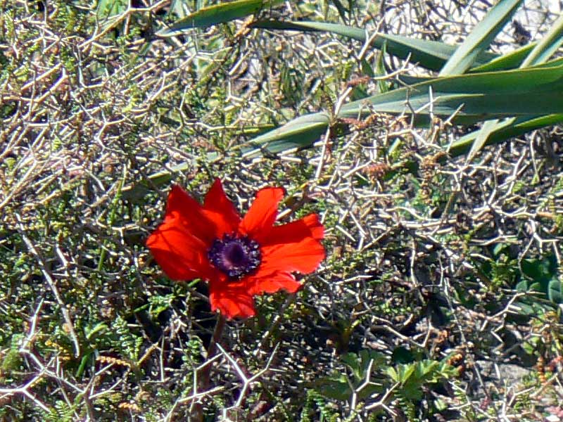 022