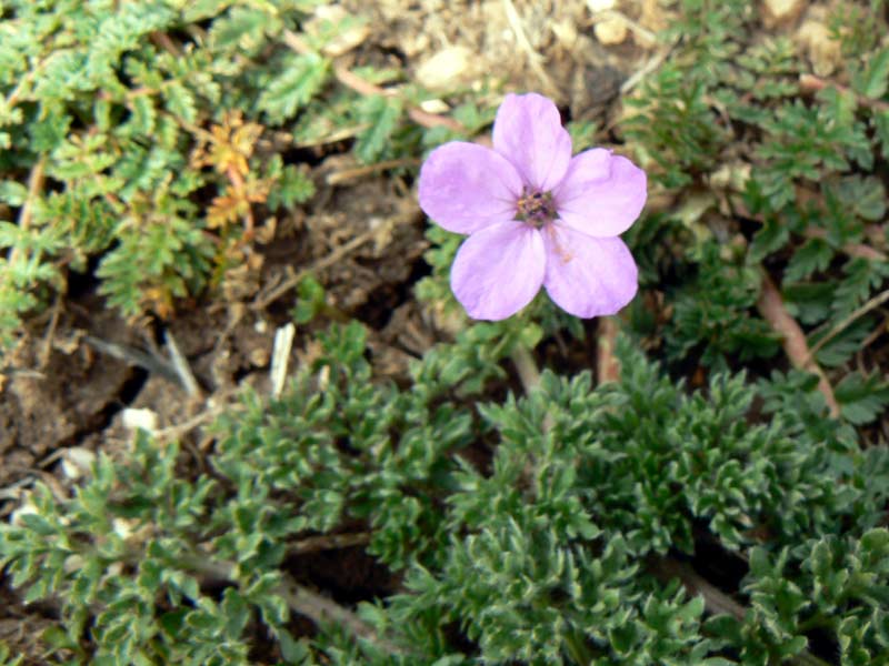 093
