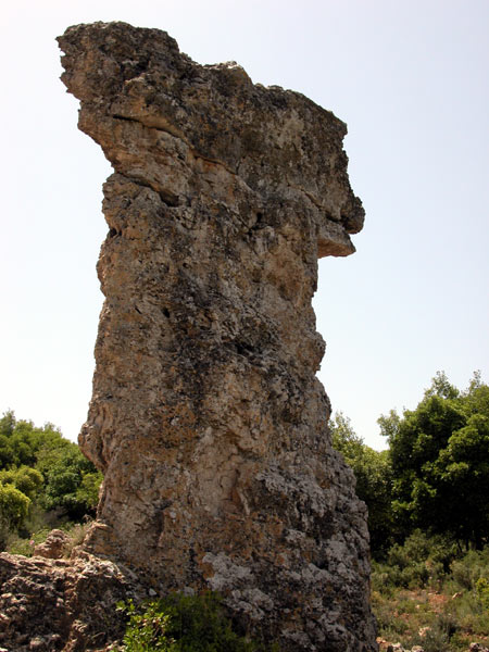 35