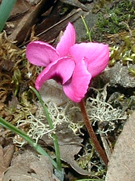 075