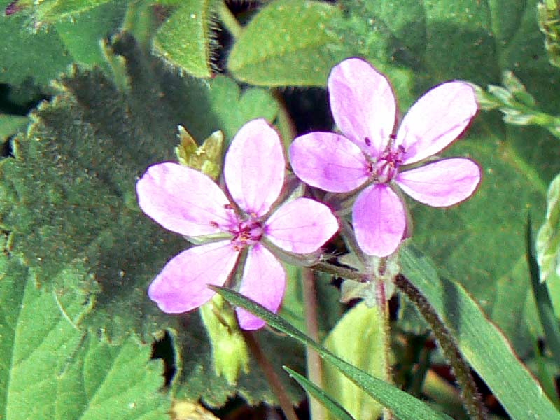 010