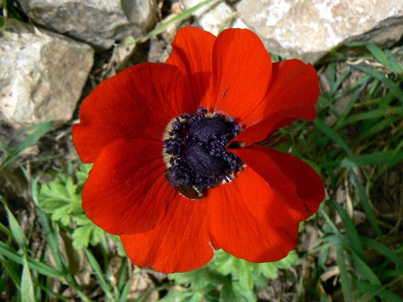 034