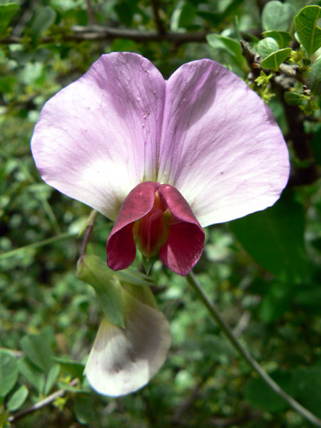 053