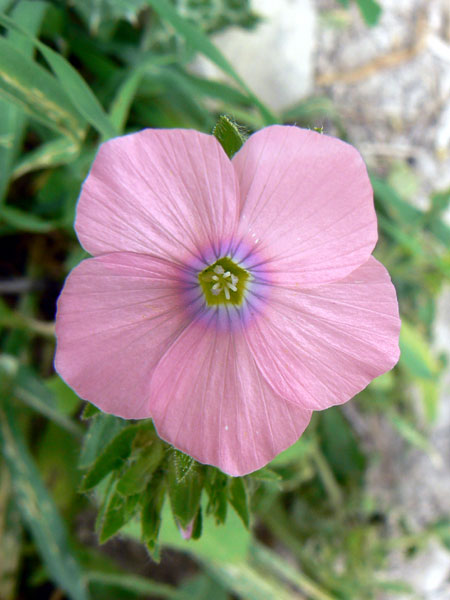 056