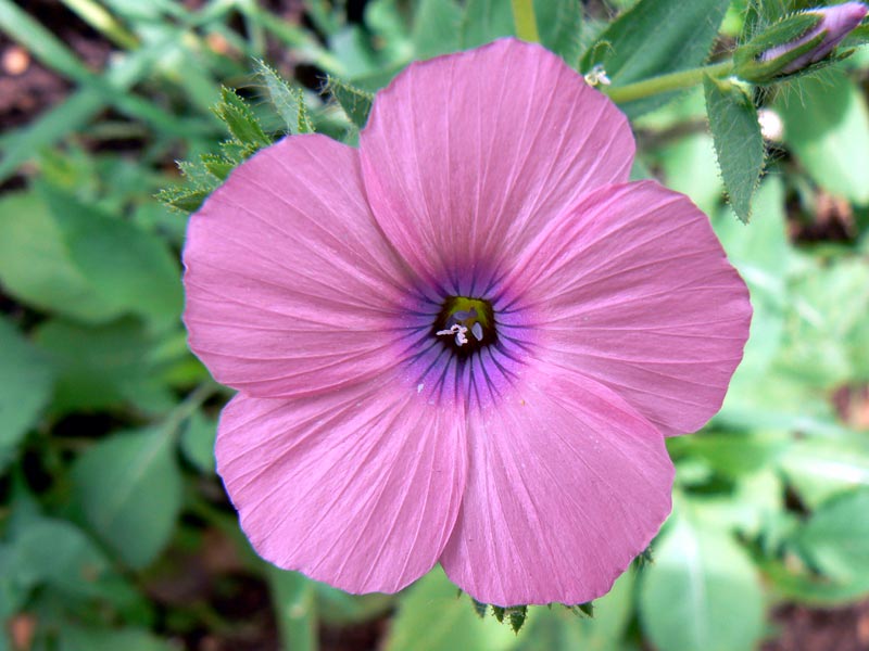 071