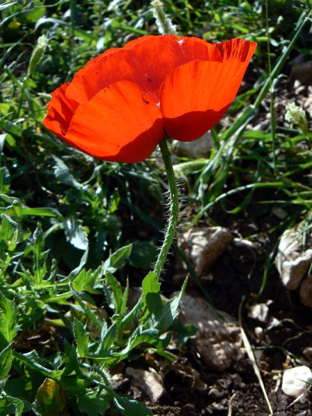 019