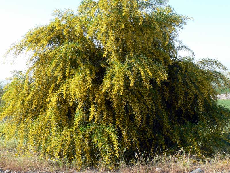 167