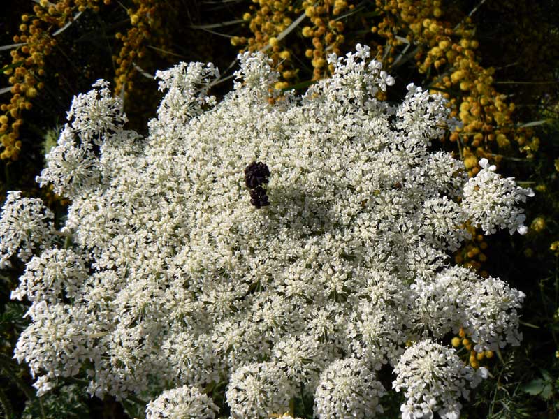 171